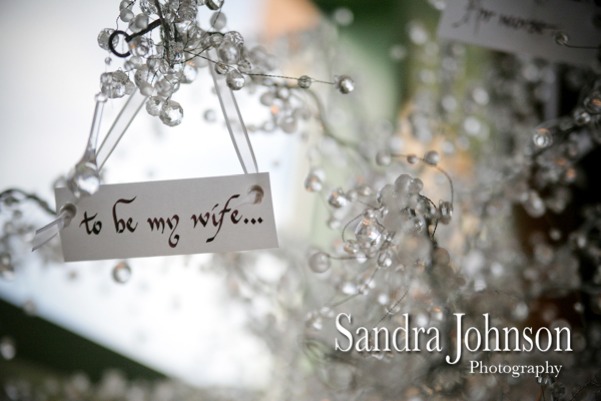 Best JW Marriott Wedding photographer - Sandra Johnson (SJFoto.com)